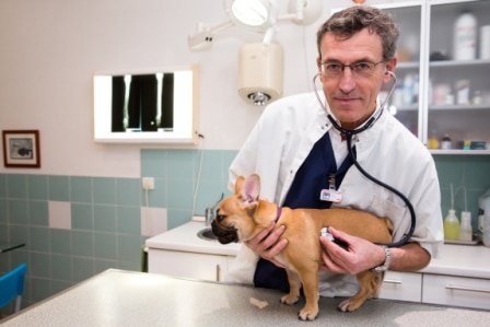 vétérinaire antibes DR JP Renaud